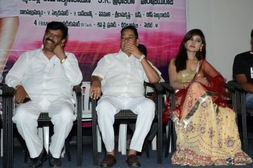 Seenugadi Love Story Movie Audio Launch